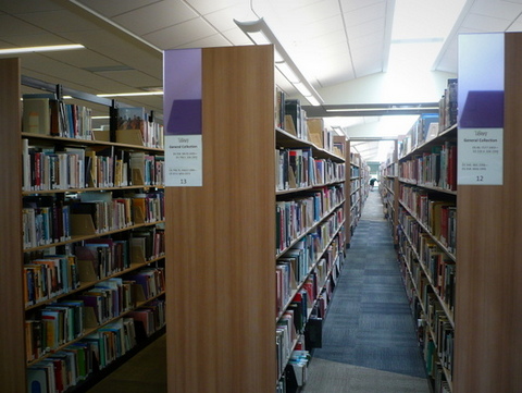 General collection shelves