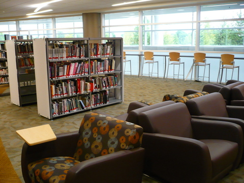Graphic Novels collection shelves
