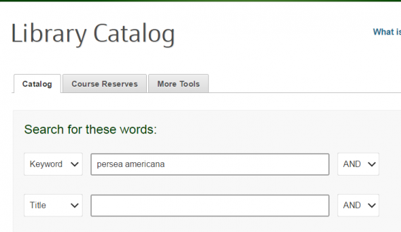 persea americana.PNG