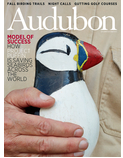 audobon magazine.PNG